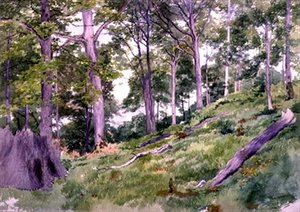 Clearing in the Woods near Ludlow by Alfred Nichols